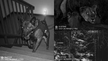 Load image into Gallery viewer, Armor 17pro