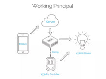 Load image into Gallery viewer, RF BridgeR2 433MHz WIFI brú