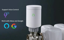 Load image into Gallery viewer, Ofnakrani wifi, ZigBee, Tuya, google home, Alexa