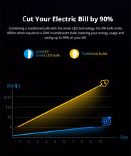 Load image into Gallery viewer, B05-BL A60 smart RGB ljósapera