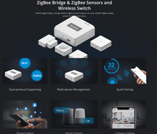 Load image into Gallery viewer, Zigbee brú