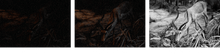 Load image into Gallery viewer, Armor 11 5G
