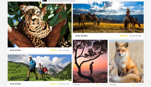 Load image into Gallery viewer, Armor 28 Ultra Thermal Version

