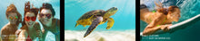 Load image into Gallery viewer, Armor X10
