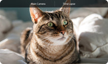 Load image into Gallery viewer, Note 11P
